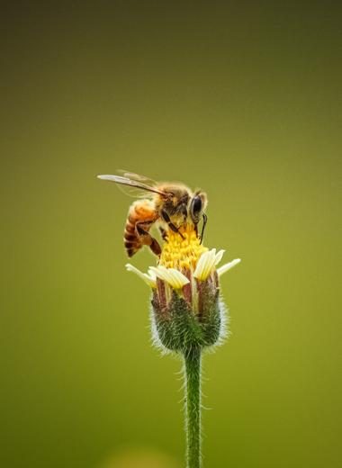 photo-1589526261866-ab0d34f8dc19